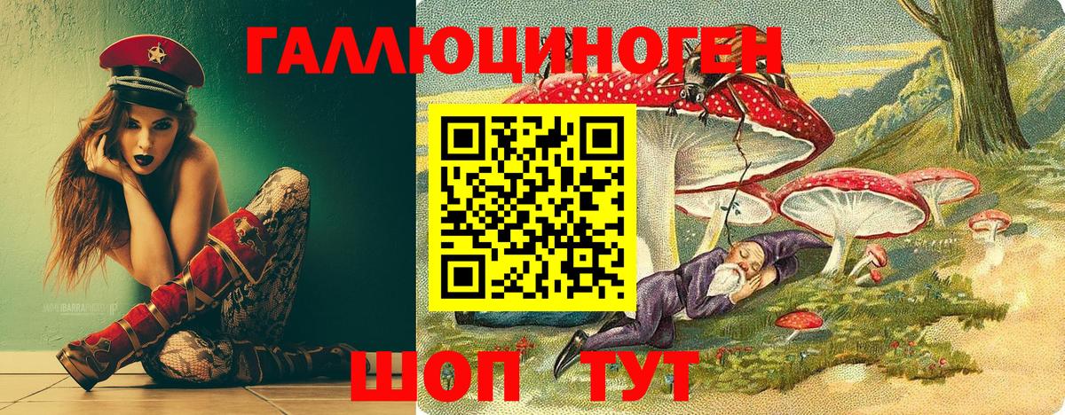 Псилоцибиновые грибы Magic Shrooms  Галлюциногенные грибы GOLDEN TEACHER  Кемерово  Вход с VPN 