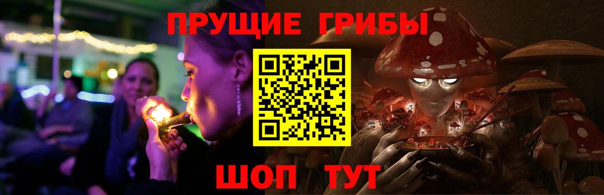 Псилоцибиновые грибы мицелий Кемерово